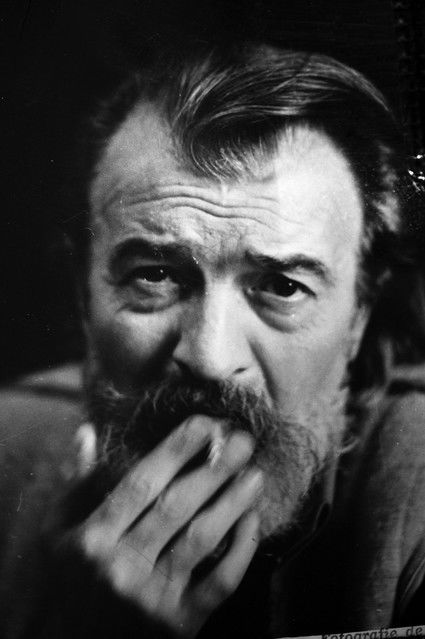 Ромулус Вулпесцу