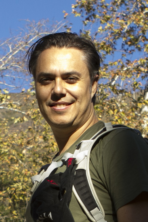 Давид Вйле Левй