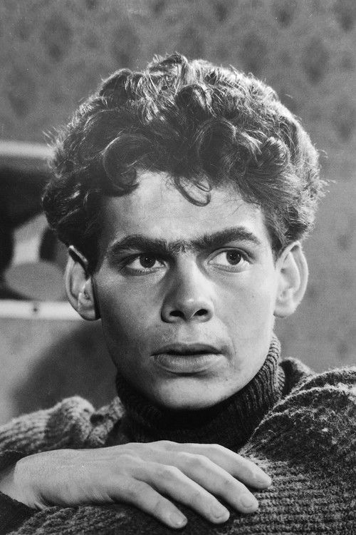 Петер Брогле