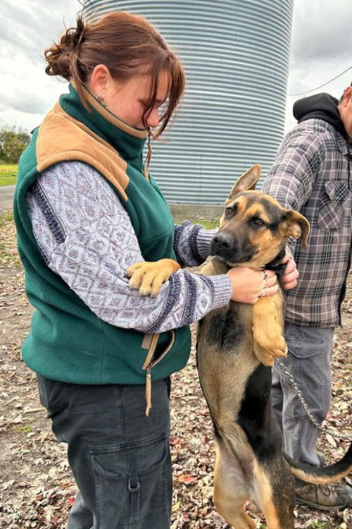 Флоренце Бéрубé