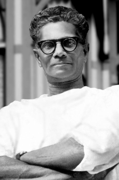 Аллеппей Винцент