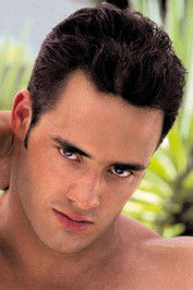 Курт Стефано