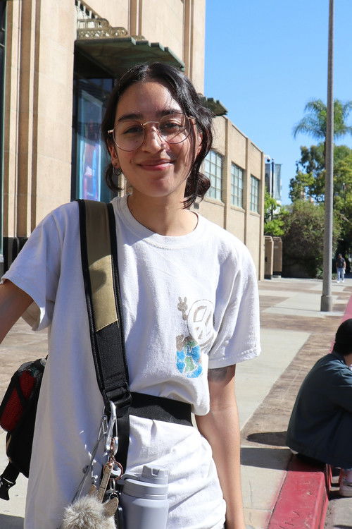 Дайанара Сауцедо