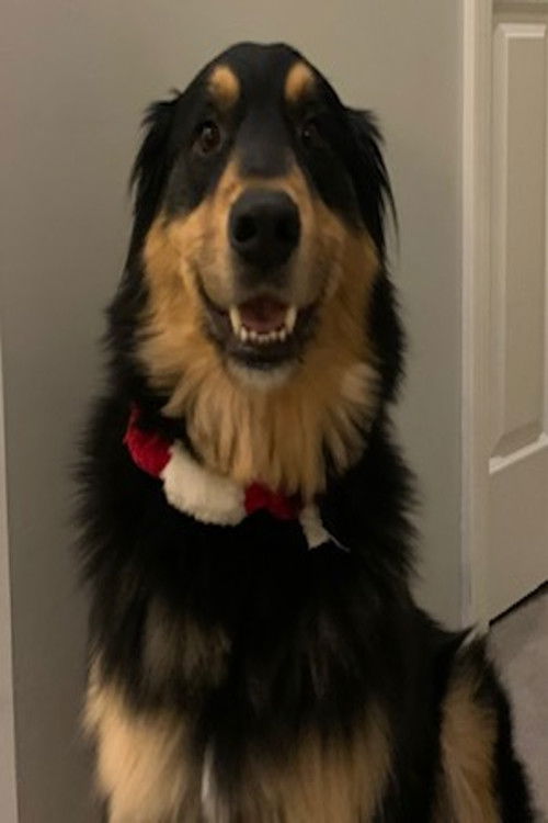 Каос Баррацлоугх