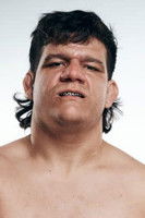 Доминиц Гаррини