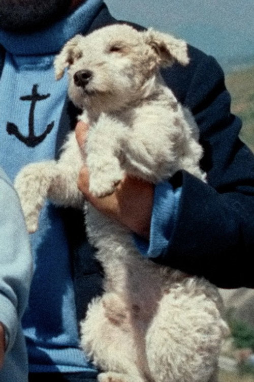 Мило