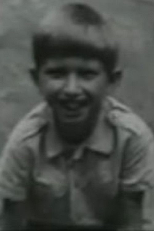 Вайдевутис Мицкис