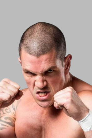 Микаел Виерге