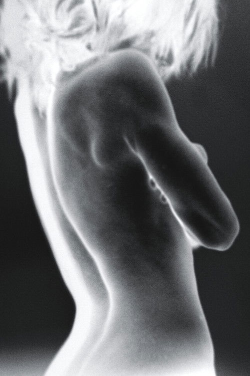 Хуỳнх Тхáи Бảо Тхуỵ