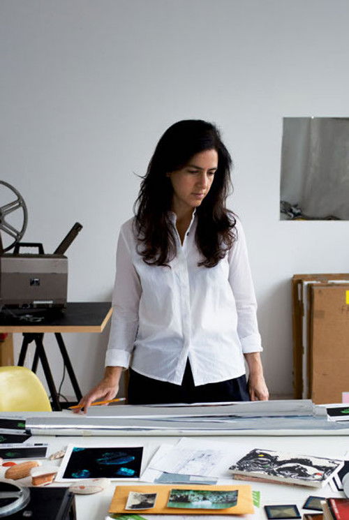 Амие Сиегел