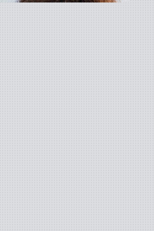 Jосепх Сицилиа