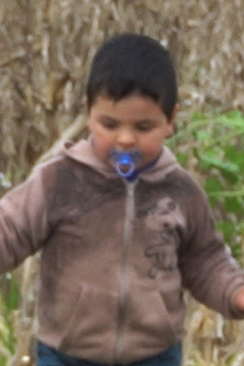 Педро Буено Пицолло