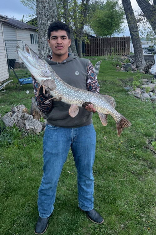 Qуинцй Кухлман