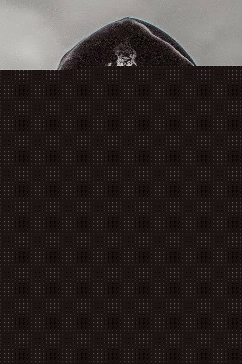 Динар Гарипов