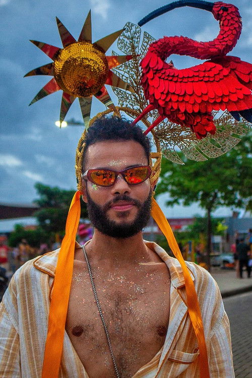 Нето Мартинс