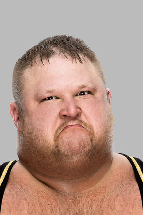 Никола Богоjевиć