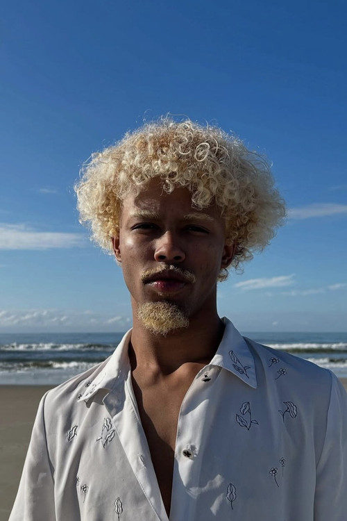 Давид Jогиа