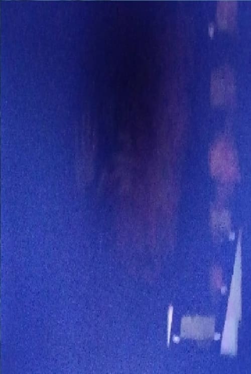 Кевин Цасциани Нолан