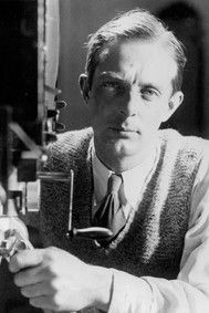 Åке Дахлqвист