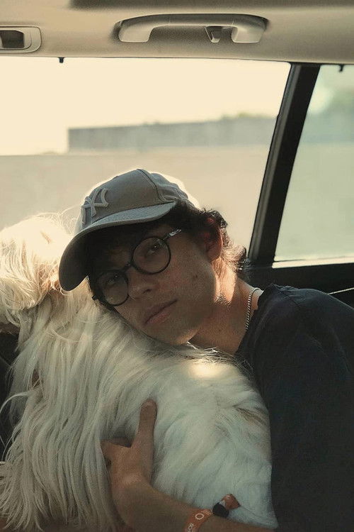 Бардим Афонсо