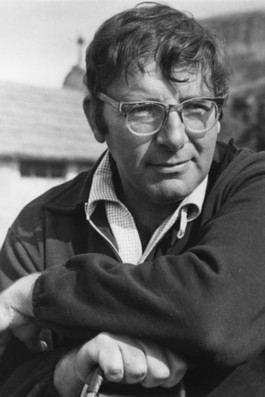  Сай Эндфилд