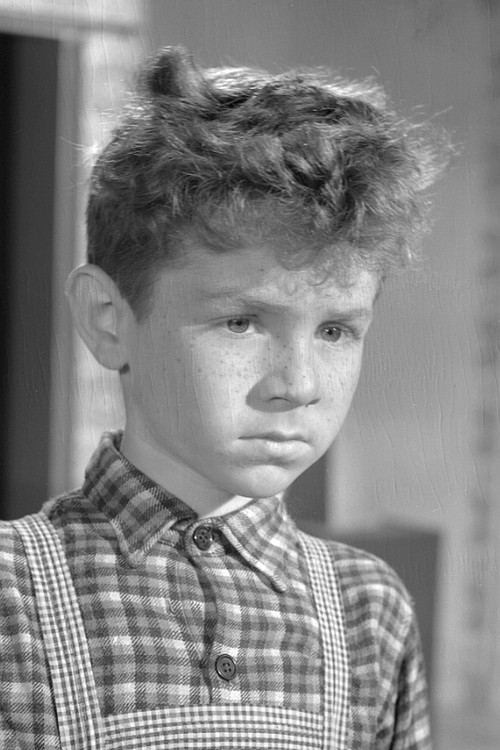 Лудwик Халицз