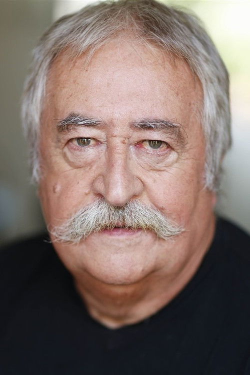 Мицхел Вивиер