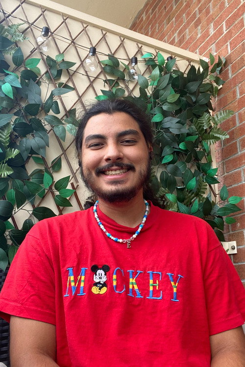 Елмер Баумен-Енриqуес