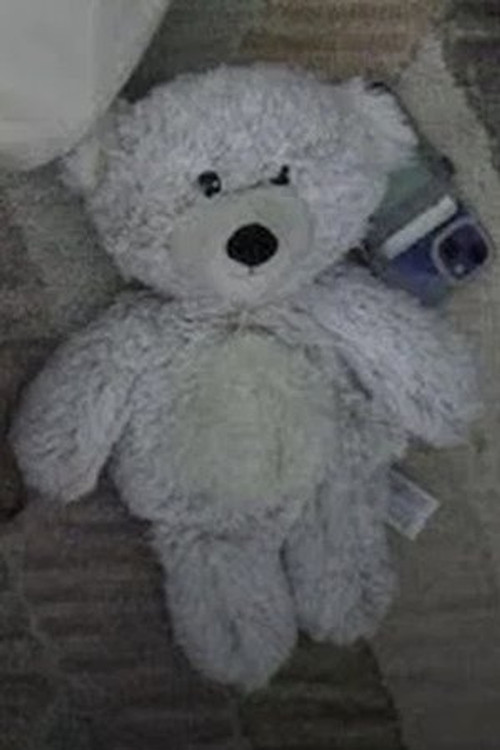 Мр. Сqуигглес