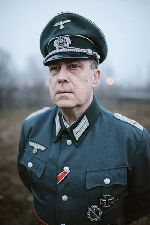 Стефано Фести