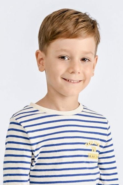 Андреи Воицу