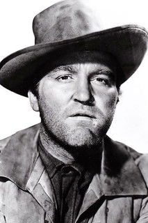 Лане Брадфорд