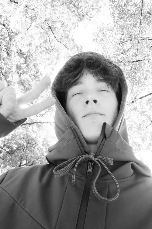 Емīлс Миķелсонс