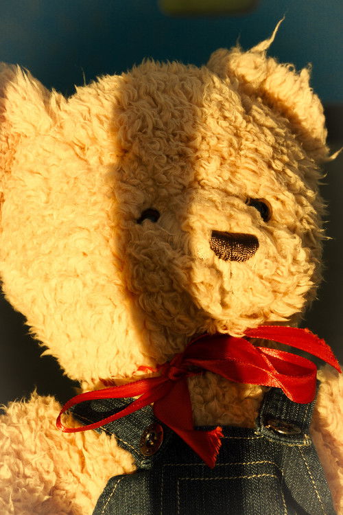 Фартй Бартй