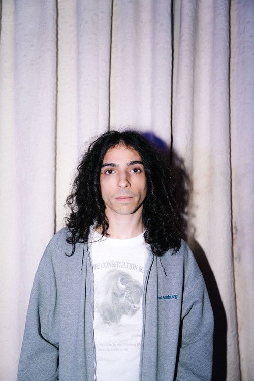 Доминиц Дигесу