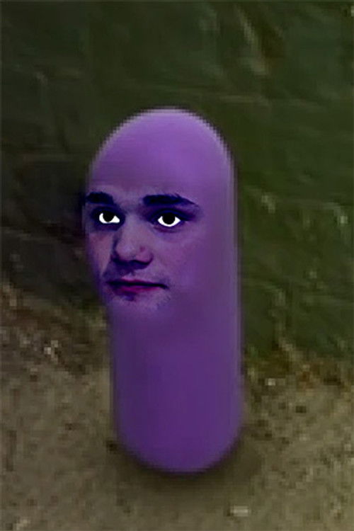 Jетт Схиелдс