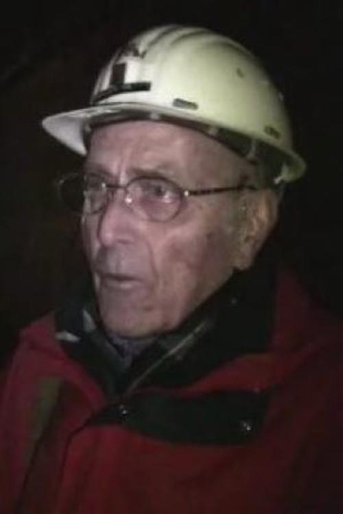 Метти Франзен