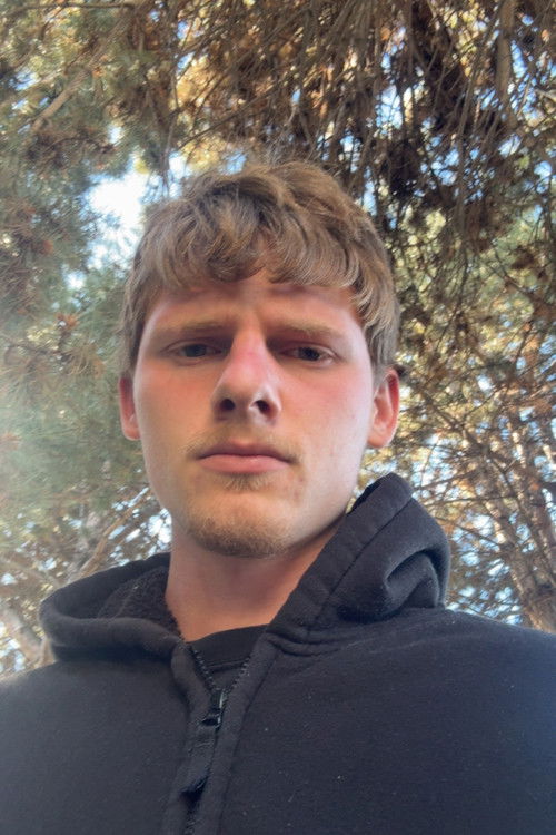 Сетх Томасевицх