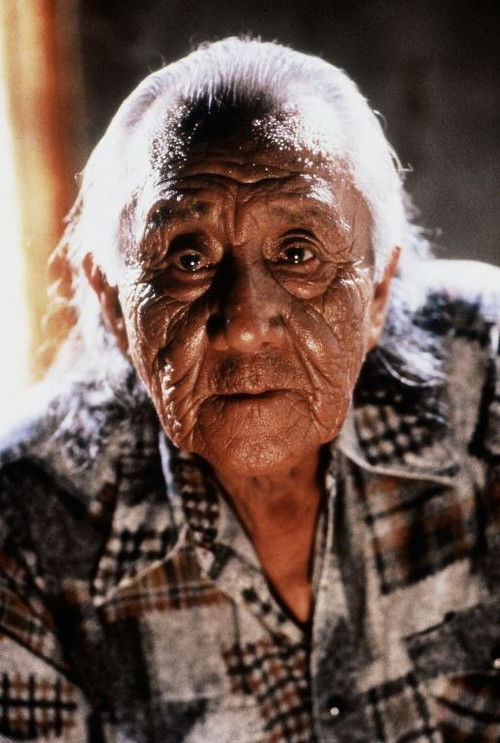 Тед Тхин Елк