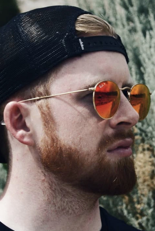 Тайлор Армс