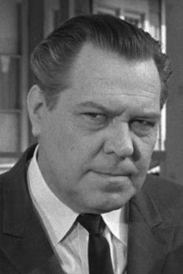 Келлй Тхордсен