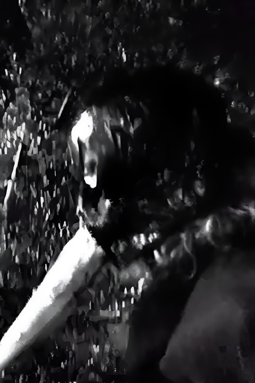 Орфеас Каравас