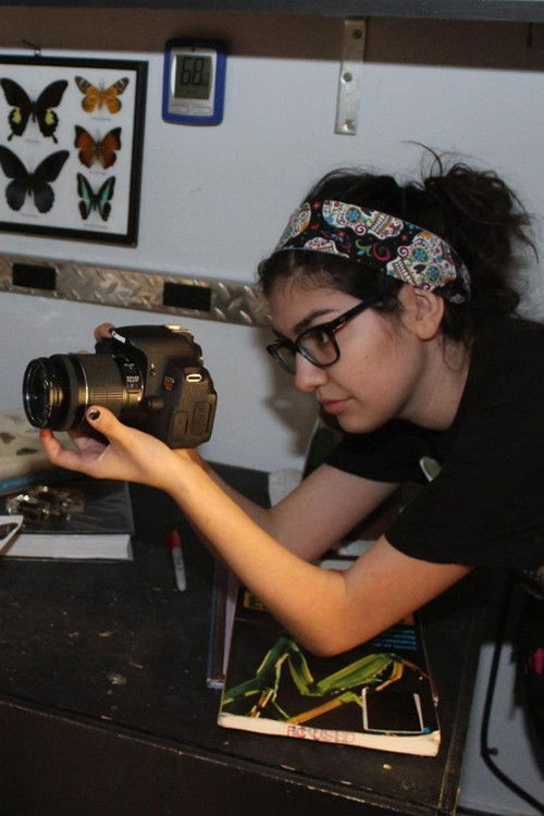 Марй Рангел