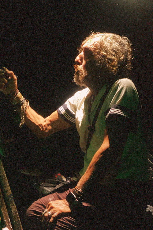 Алеjандро Алсина