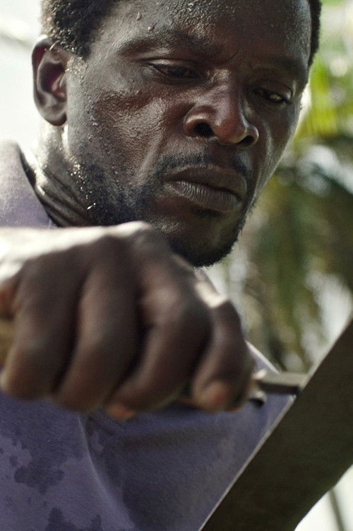 Норберт Алиx