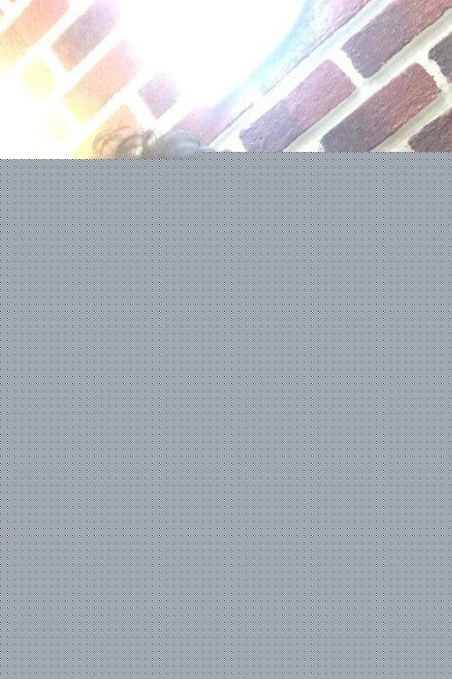 Никунj Хота