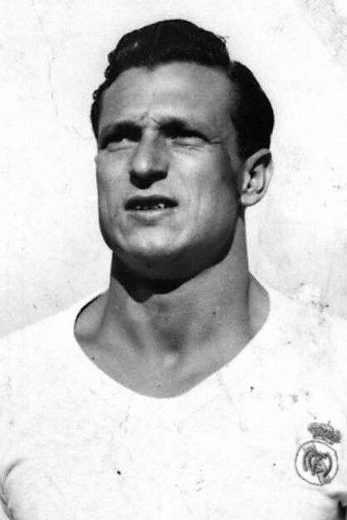 Jосé Луис Пéрез-Пайа Солер