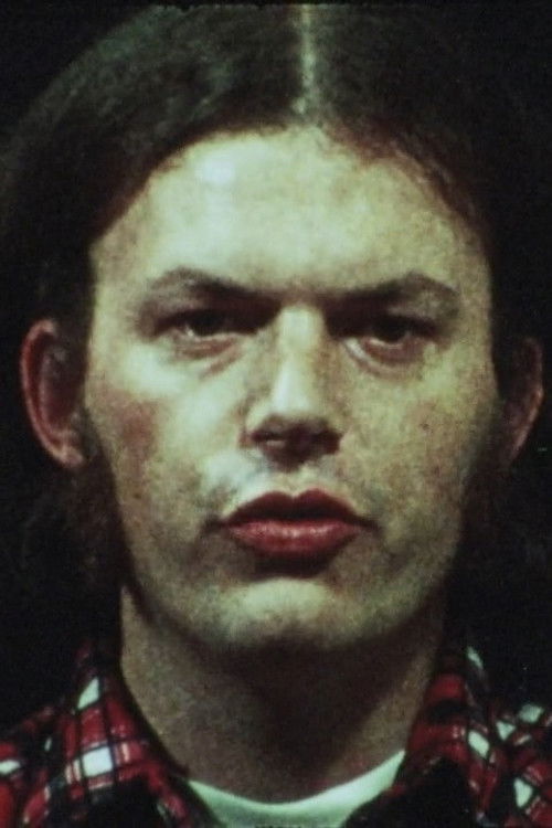 Дана Ходгдон