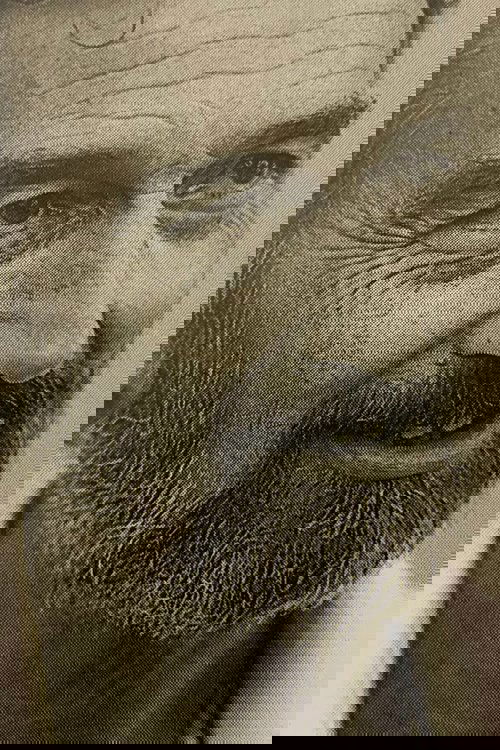 Мауризио Манноиа