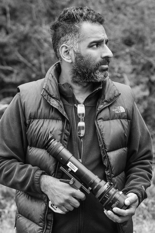 Сасхи Киссоон